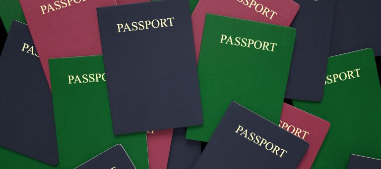 Visa and Immigration Process Lyon - Expat Services